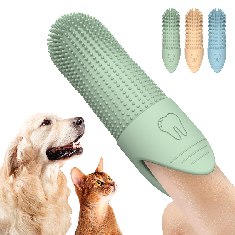 80304