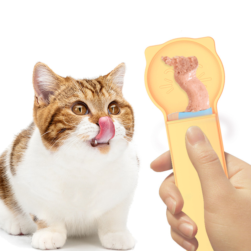 80331